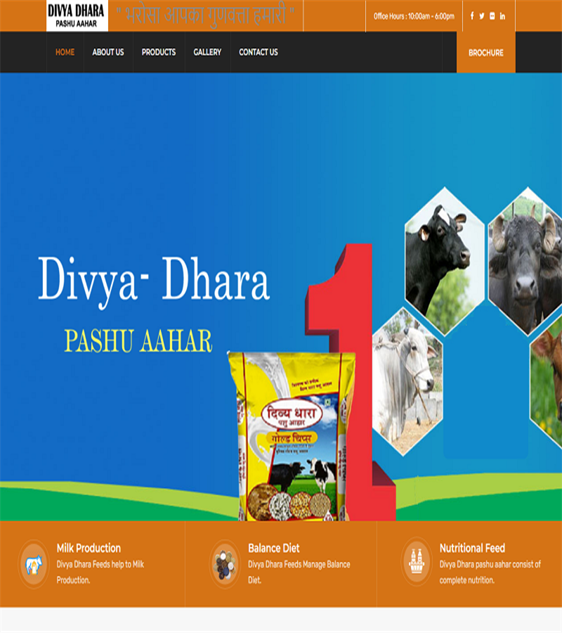 Divya Dhara feeds